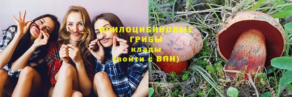 скорость Богородицк