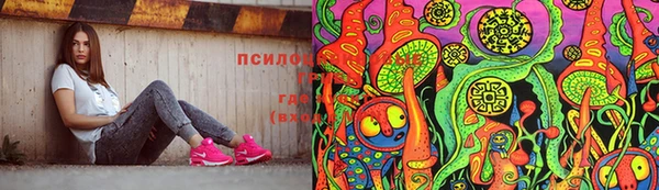 сатива Ачинск