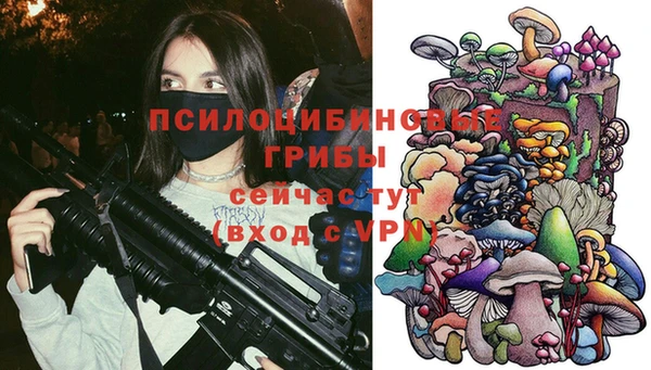 скорость Богородицк